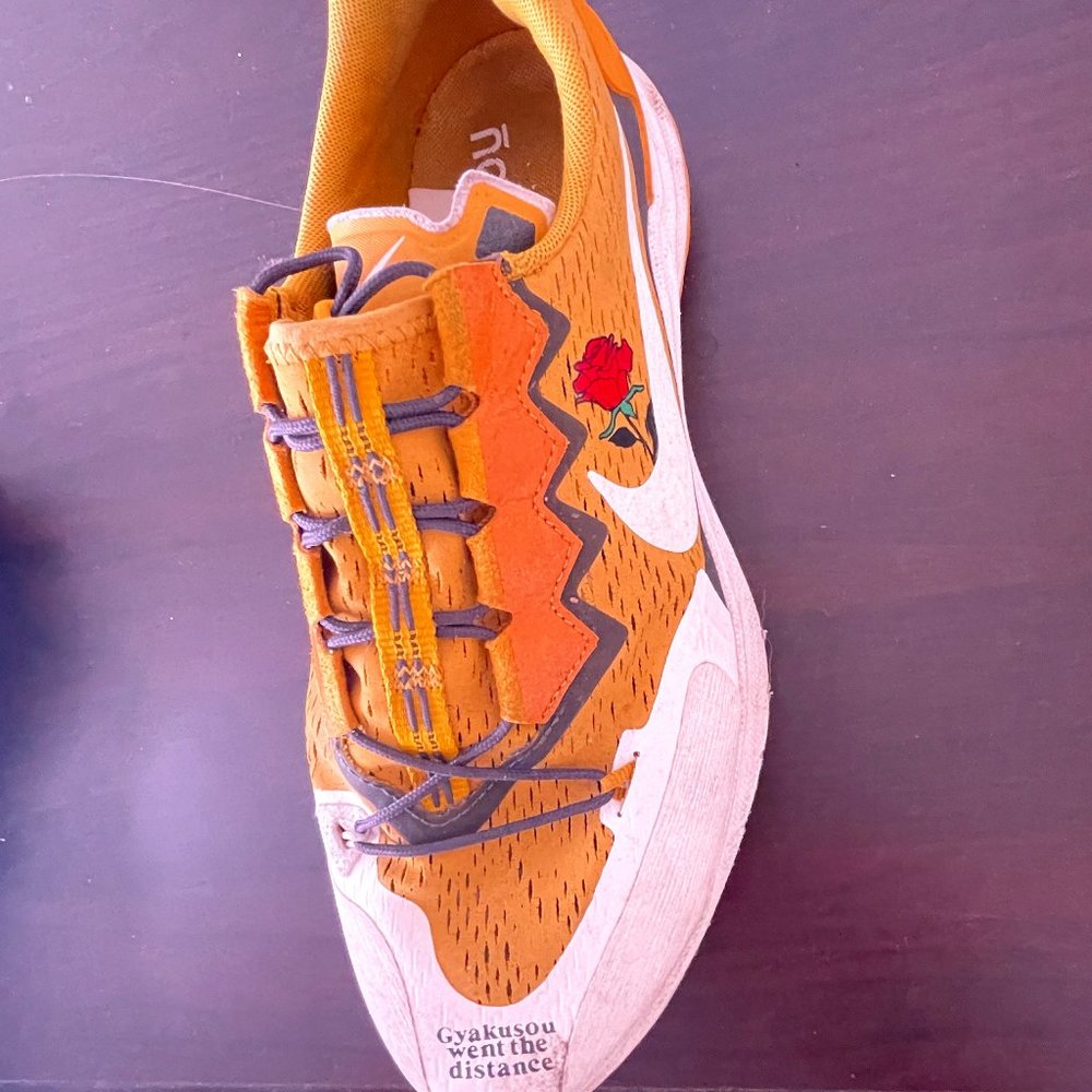 Nike Pegasus Gyakusou